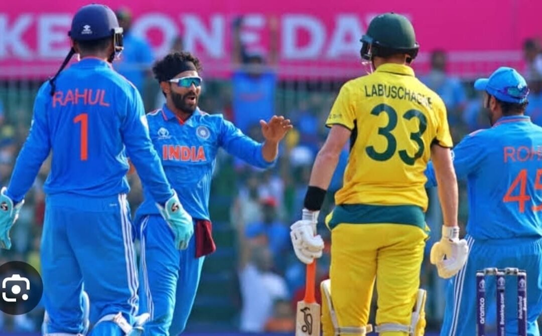 How to Interpret IPL Betting Stats