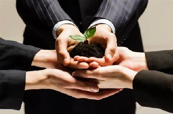 what companies are in the finance field